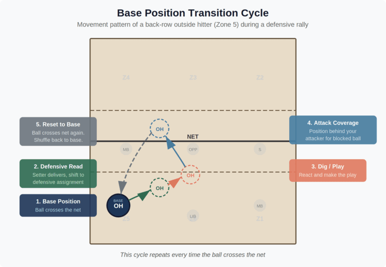 Base position transition cycle diagram showing the movement pattern of a back-row outside hitter through a defensive rally. Five steps shown on court: base position in zone 5, defensive read shift, dig or play the ball, attack coverage behind own hitter, and reset back to base.