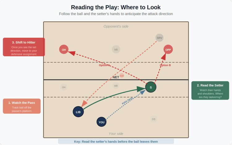 Read sequence diagram showing where defenders should focus their eyes during a rally. Step 1: watch the ball off the passer platform. Step 2: read the setter hands and shoulders to anticipate the set direction. Step 3: shift focus to the approaching hitter.